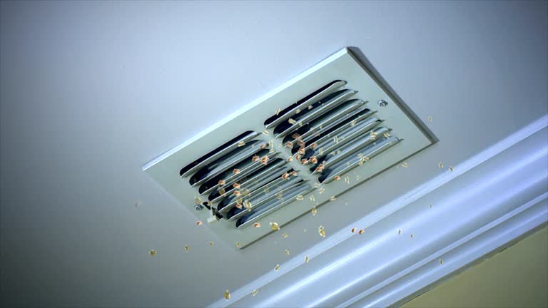 HVAC System Cleaning in Lower Grand Lagoon, FL