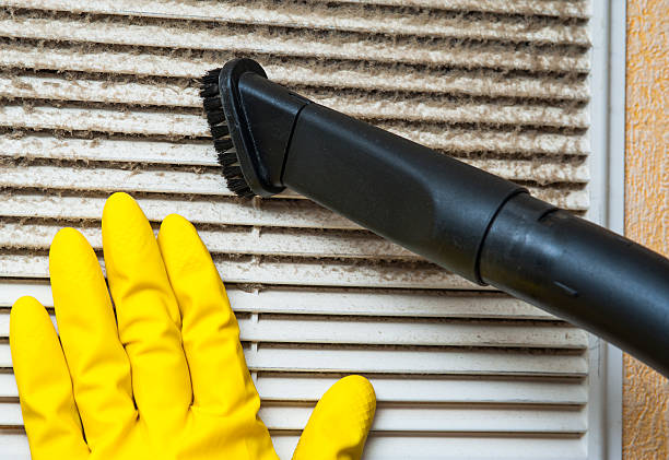 Best Home Air Vent Cleaning  in Lower Grand Lagoon, FL